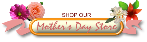 md-shop-button.png